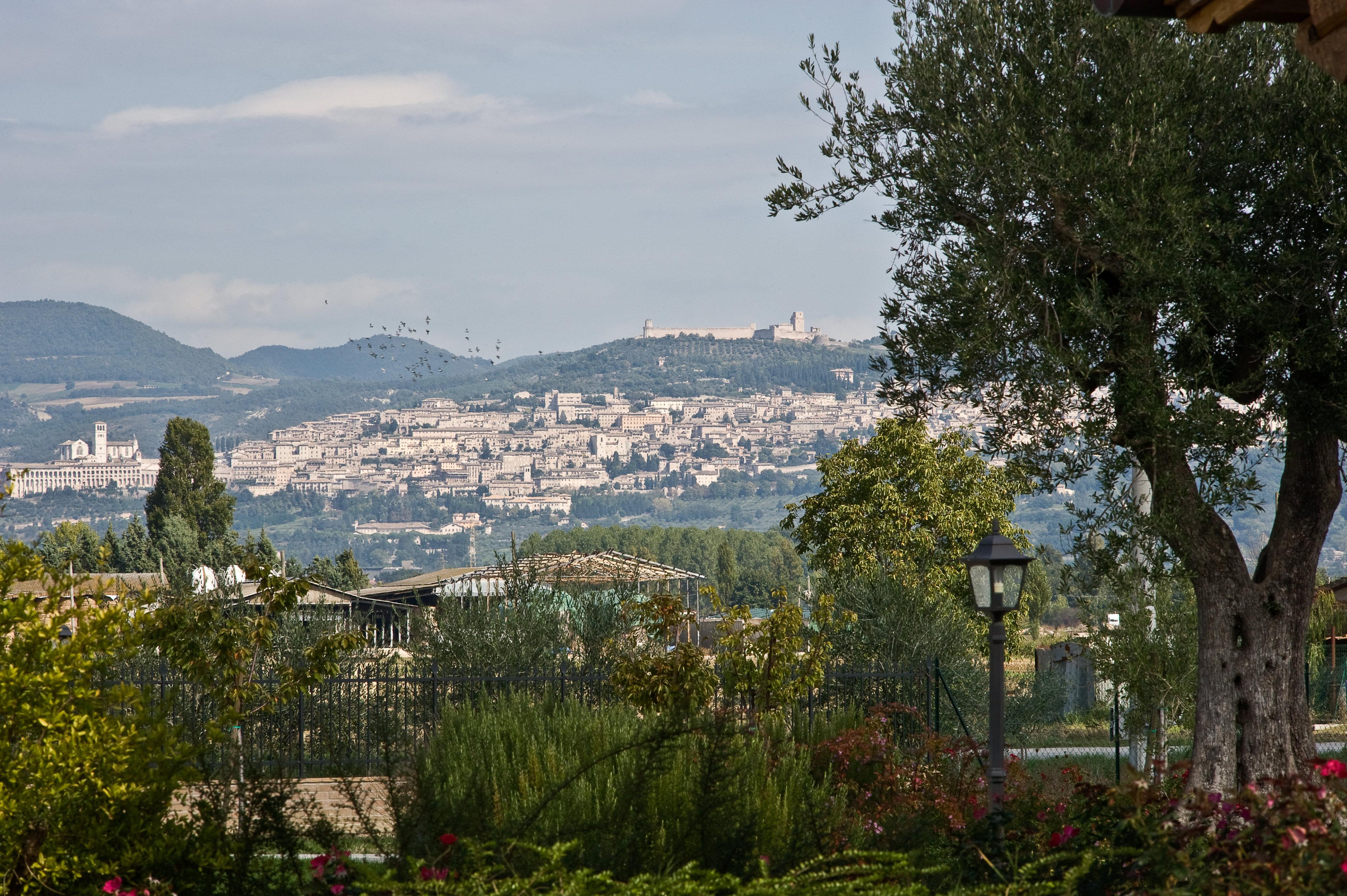Agriturismo Le Rondini Di Francesco Di Assisi 칸나라 외부 사진