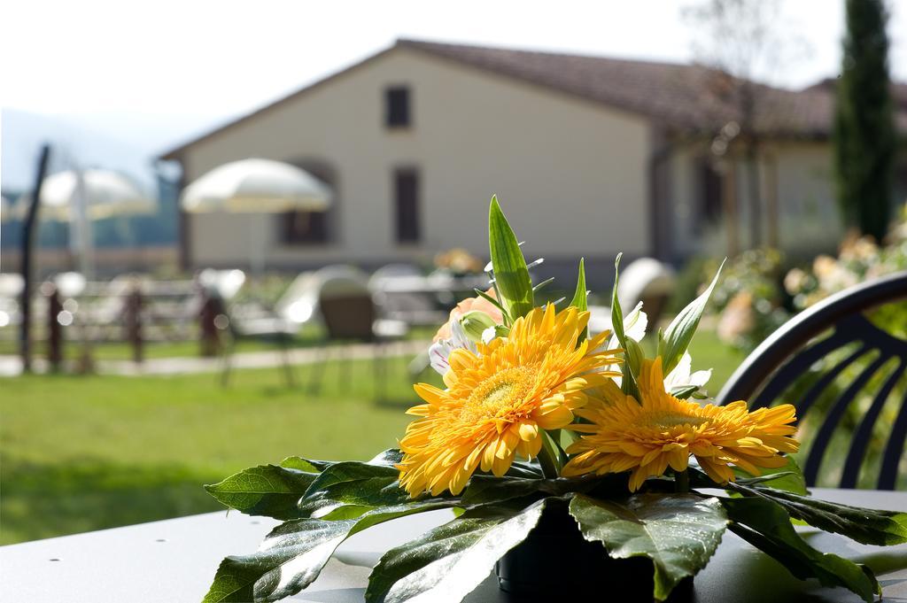 Agriturismo Le Rondini Di Francesco Di Assisi 칸나라 외부 사진
