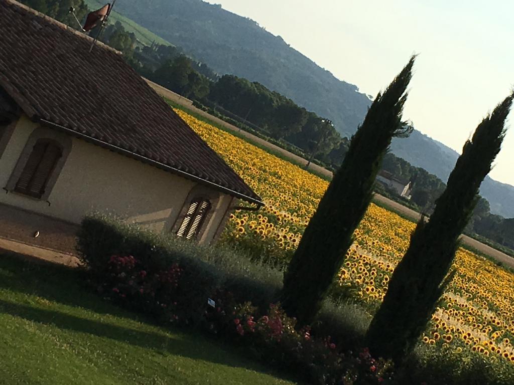 Agriturismo Le Rondini Di Francesco Di Assisi 칸나라 외부 사진