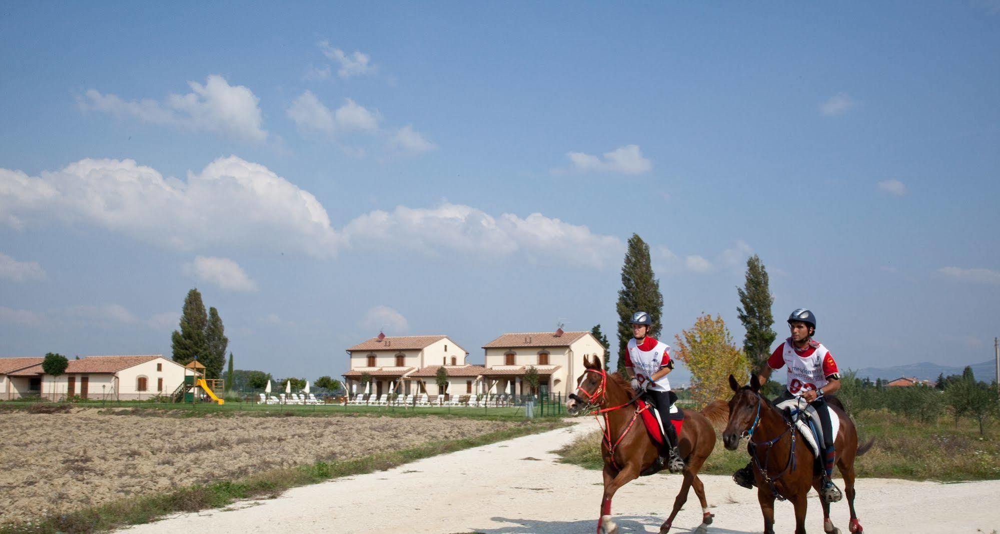 Agriturismo Le Rondini Di Francesco Di Assisi 칸나라 외부 사진
